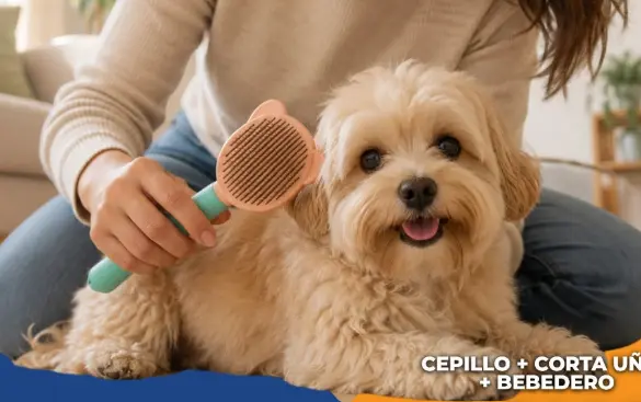 CEPILLO PARA MASCOTAS