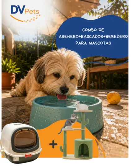 COMBO DE ARENERO+RASCADOR+BEBEDERO PARA MASCOTAS