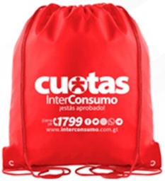 [2680-INTC] GYM BAG